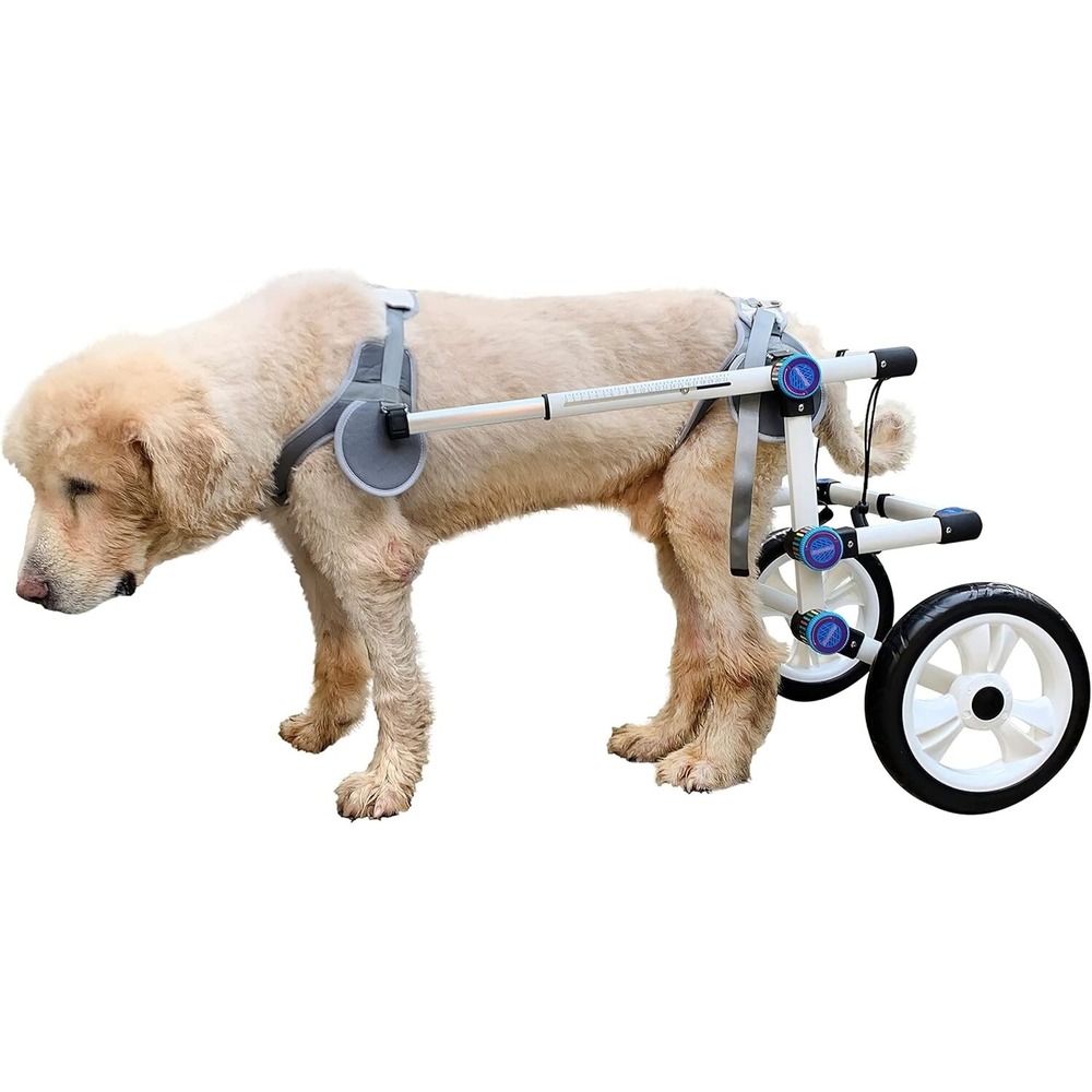 HobeyHove Dog Wheelchair Back Legs Assist Pets Paralyzed Hind Limbs Extra Large